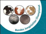 Bundesjungzüchterchampionat 2014 Ankündigungsplakat Bundesjungzüchterchampionat