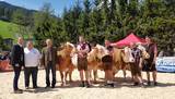 95 Jahre Viehzuchtverein Alpbach, Tirol 95 Jahre Viehzuchtverein Alpbach, Tirol