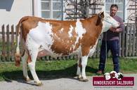 ZV Maishofen am 18.4.2019 - TRIOMPHE-Tochter ZV Maishofen am 18.4.2019 - TRIOMPHE-Tochter