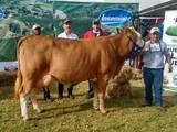 ROMARIO-Tochter siegt auf Expo-Cundinamarca, Kolumbien ROMARIO-Tochter siegt auf Expo-Cundinamarca, Kolumbien