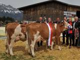 RZV Tirol: 50 Jahre organisierte Rinderzucht in Tulfes RZV Tirol: 50 Jahre organisierte Rinderzucht in Tulfes