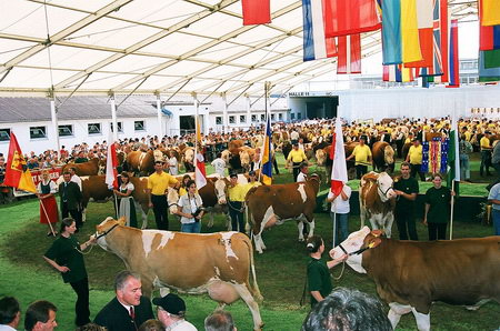 Ried 2005 - die Eröffnungsparade