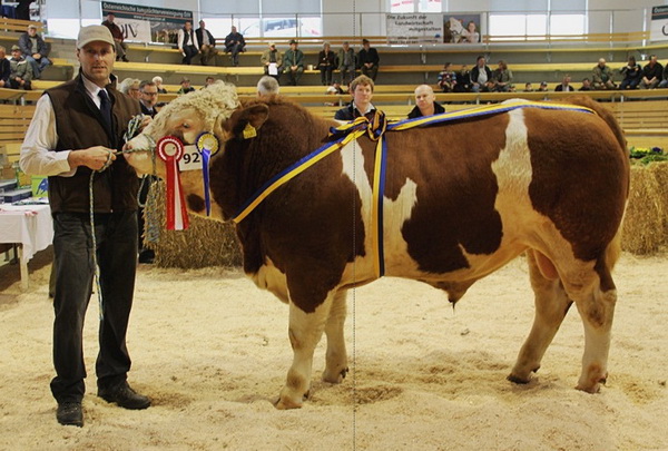 Champion männlich: HEINRICH von Johann Tisch, NÖ