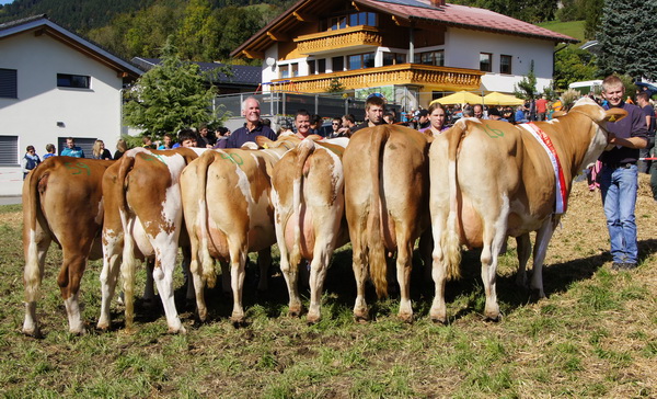 Die Gruppensiegerinnnen