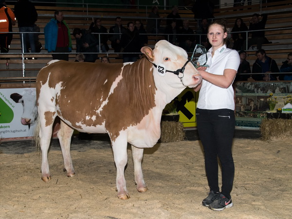 Katharina Jöbstl mit SOLO