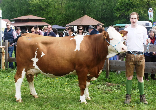 TORA von Clemens Peter Gasser, Metnitz