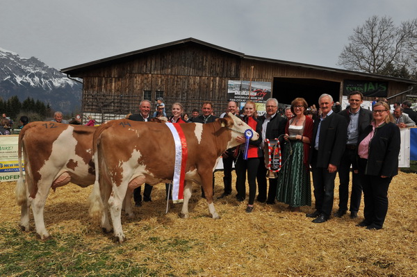 Die Gesamtsiegerin ERNI (V.: Hall) und Reservesiegerin (HELENE (V.: Vulkan) bei Fleckvieh stammen beide vom Züchterstall Markus Kössler aus Tulfes.