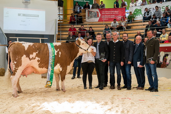 Champion der älteren Kühe: GS RAVE-Tochter LUNA von Georg Höller, Piesendorf, Salzburg