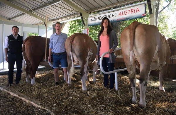 Rinderzucht-Steiermark-Geschäftsführer Reinhard Pfleger, Tierbetreuer Georg Stückler und Dolmetscherin Alexandra Wolff (v.l.n.r.) mit den drei ausgestellten Fleckviehkalbinnen