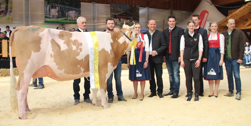Gesamteutersiegerin Fleckvieh x Red Holstein: PETTY (V.: Mint) von Matthias Kreidl aus Hart i. Z.