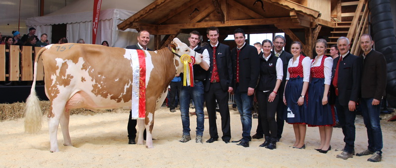 Gesamtsiegerin Fleckvieh x Red Holstein: MAYA (V.: Arvis RC) von Michael Eberharter aus Hippach
