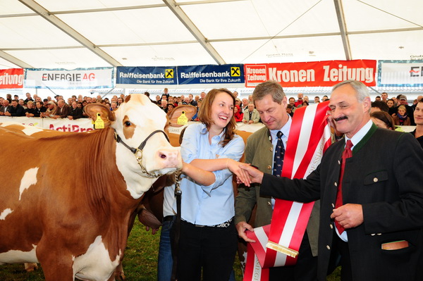 Champion der Jungkühe - MALINT-Tochter  ALMENA, Betrieb Scherzer, Kärnten