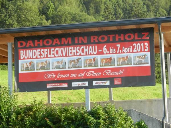 Ankündigung der Bundesfleckviehschau i der Vermarktungsanlage Rotholz