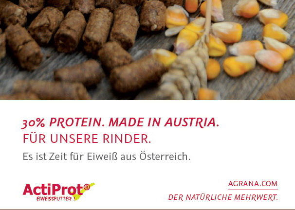 ActiProt