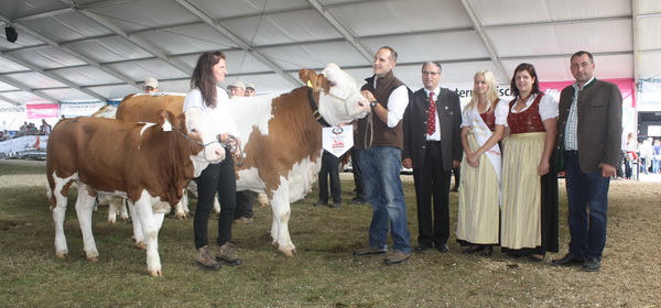 Champion weiblich - ELVIRA mit Kalb ELVANY 