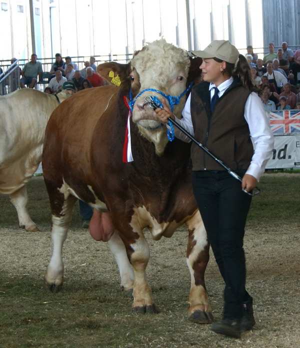 Champion männlich: MALIBU von Familie Minichberger, Oberösterreich