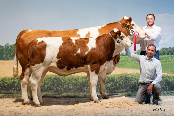 Champion weiblich: DANIELA mit ihrem Kalb DOLLY; Züchter: Thomas Weishaupt, Preitenegg, Kärnten