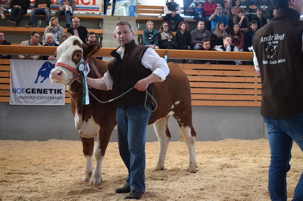 Reservechampion weiblich: HANNI von Andreas Reischer