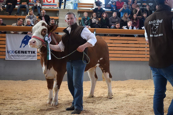 Reservechampion weiblich: HANNI von Andreas Reischer