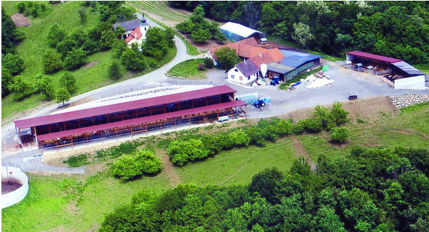 Die Betriebsstätte des Fleckvieh-Fleisch-Zuchtbetriebes Lipp, Burgenland