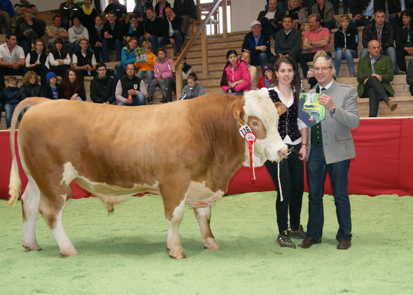 Champion männlich: BRANDO (V.: Brand) von Peter Petritsch, Kärnten