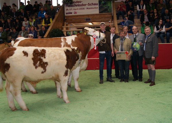 Champion weiblich: GUNNA pp (V.: United) von Johannes Raimund Kreil, OÖ