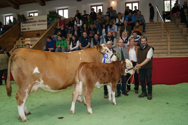 Reservechampion weiblich: MIA FVF Pp (V.: Gigant) von Thomas Weishaupt, Kärnten