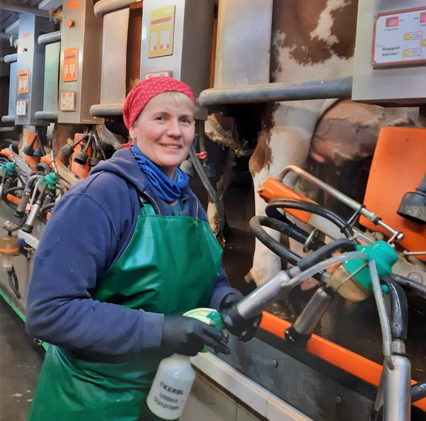 Elfriede Eigelsreiter beim Melken