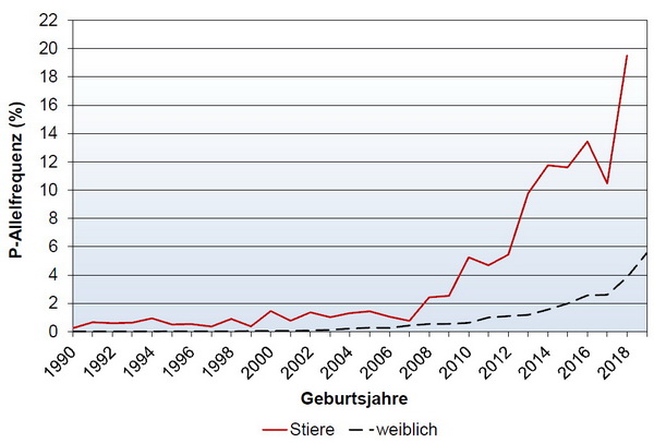 Abb. 2: Entwicklung der Hornlos-Allelfrequenz für Besamungsstiere und weibliche Tiere