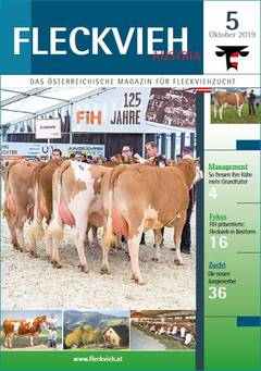 Fleckvieh Magazin Ausgabe 5 Titelseite Fleckvieh Magazin 5