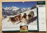 ZAR-Wandkalender 2019 ZAR-Wandkalender 2019