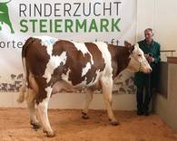 ZV Greinbach am 1.10.2019 ZV Greinbach am 1.10.2019