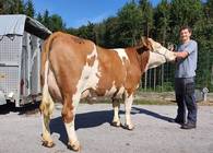 ZV Bergland 11.9.19 ZV Bergland 11.9.19