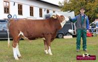 ZV Maishofen am 8.11.2018 PERFEKT-Sohn ZV Maishofen am 8.11.2018 PERFEKT-Sohn