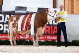 Dairy Grand Prix 2018 - Fleckvieh Dairy Grand Prix 2018 - Fleckvieh