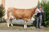 ZV St. Donat am 23.8.2018 - MINISTER x WILLE ZV St. Donat am 23.8.2018 - MINISTER x WILLE