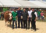 Champion Regionalschau Ptuj 2018: DIADORA-Tochter SHAKIRI Champion Regionalschau Ptuj 2018: DIADORA-Tochter SHAKIRI