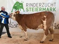 ZV Greinbach am 21.1.2020 ZV Greinbach am 21.1.2020
