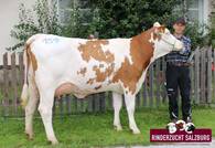 ZV Maishofen am 22.8.2019 - SIGNAL-Tochter ZV Maishofen am 22.8.2019 - SIGNAL-Tochter