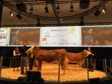 MINT-Töchter auf der EUROTIER-Auftritt 2018 MINT-Töchter auf der EUROTIER-Auftritt 2018