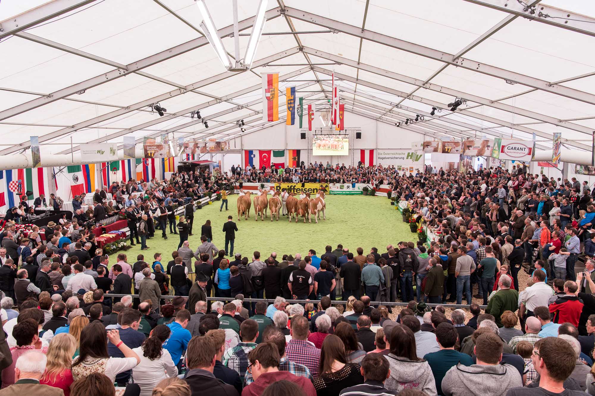 Bundesfleckviehschau 2017 in Maishofen