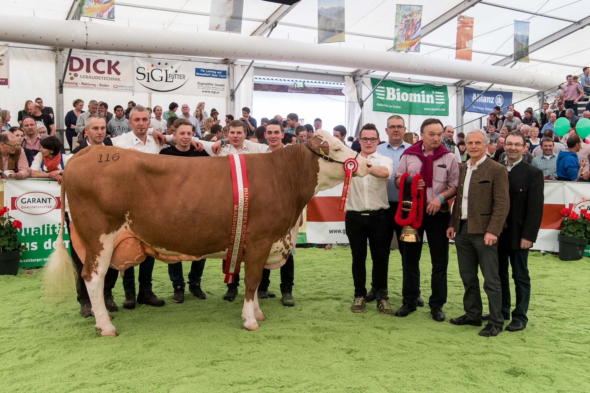 Bundesreservesiegerin der älteren Kühe: SOJURA (V.: Rurex) von Familie Ströcker, Niederösterreich