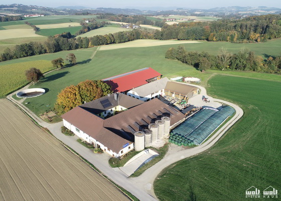 Der Fleckviehzuchtbetrieb Lechner in Viehdorf, Niederösterreich