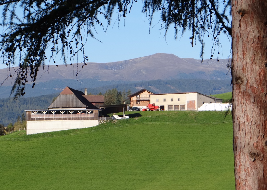 Betrieb Luschnig in Obdach in der Steiermark