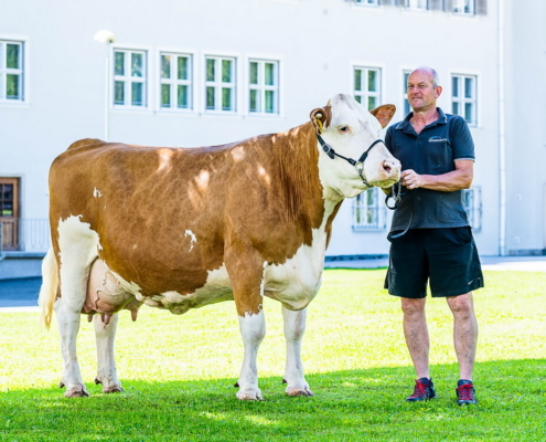 Rurex x GS Rohar, B.: LFS Grabnerhof, Admont, Stmk.