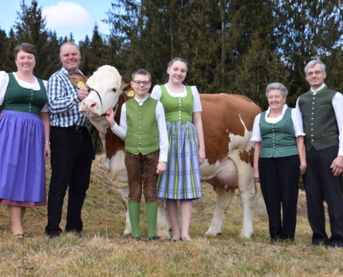 Familie Gspurning (von links): Ingrid, Klaus, Simon, Katharina, Dorothea und Simon sen. mit Kuh OPERETTE