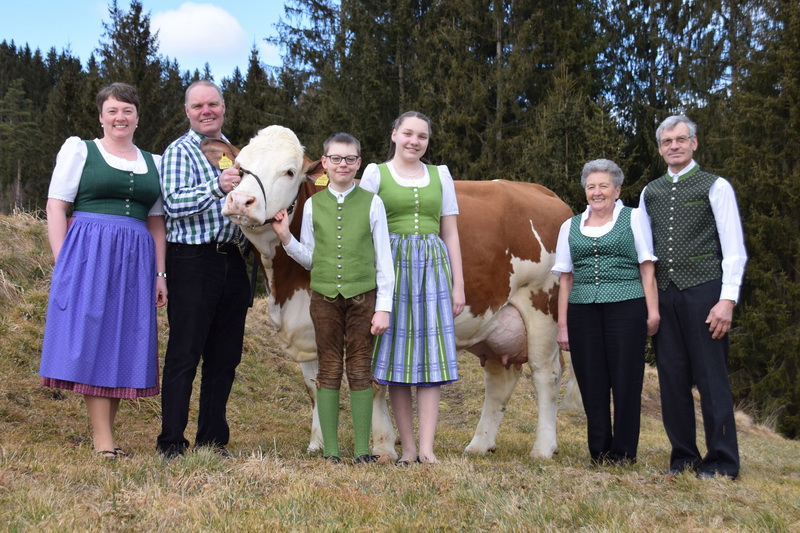 Familie Gspurning (von links): Ingrid, Klaus, Simon, Katharina, Dorothea und Simon sen. mit Kuh OPERETTE