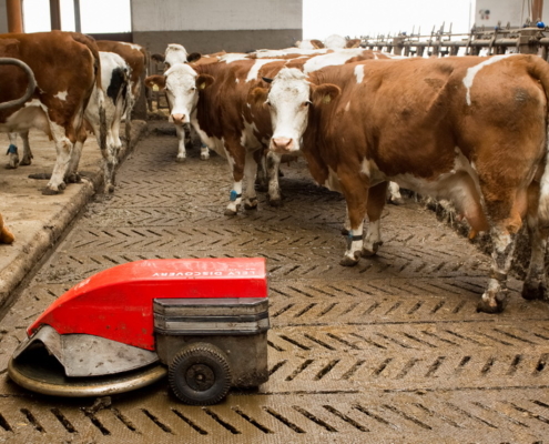 Spaltenroboter: Zu einer guten Stallhygiene gehört eine regelmäßige bzw. automatisierte Reinigung der Laufflächen