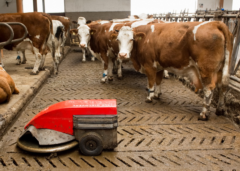 Spaltenroboter: Zu einer guten Stallhygiene gehört eine regelmäßige bzw. automatisierte Reinigung der Laufflächen