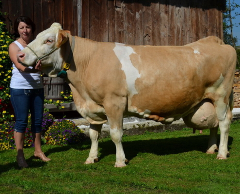 EVALOTTE, Ruakana x Rumba, B.: Fam. Eibelhuber, Taufkirchen a. d. Tr. , OÖ-FIH